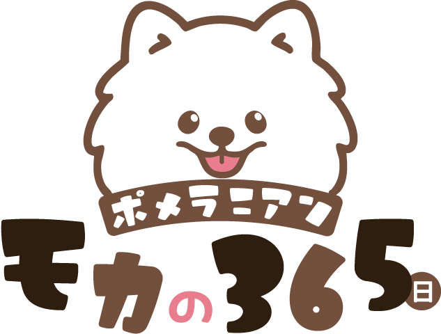 ポメラニアン モカ365日公式サイト